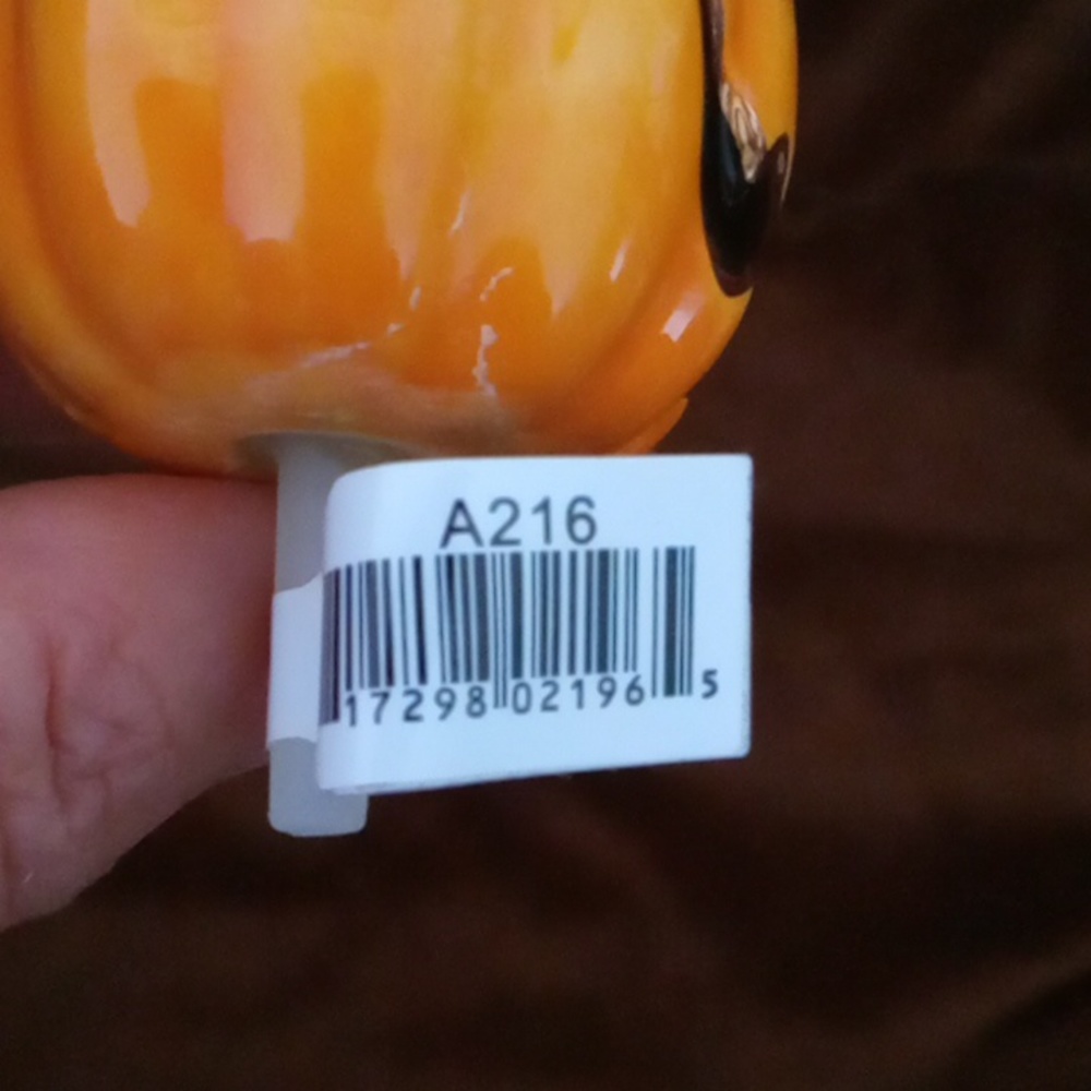 Nora Fleming A216 Pumpkin Mini - Picture 4 of 5